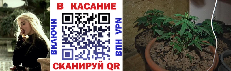 Сколько стоит Челябинск МЕГА ТОР  Мефедрон  Alpha-PVP 