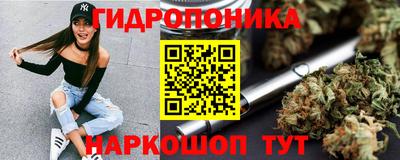ГАЛЛЮЦИНОГЕННЫЕ ГРИБЫ Отрадный
