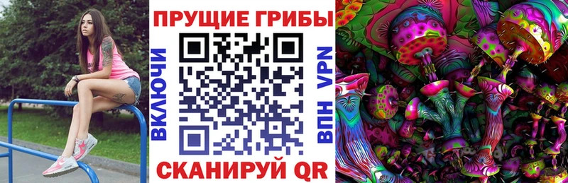 Псилоцибиновые грибы Cubensis  Челябинск 