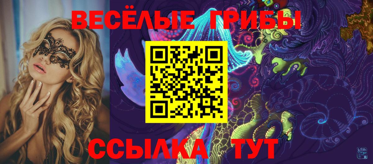 Галлюциногенные грибы Psilocybine cubensis  Галлюциногенные грибы мицелий  Челябинск  Вход с VPN 